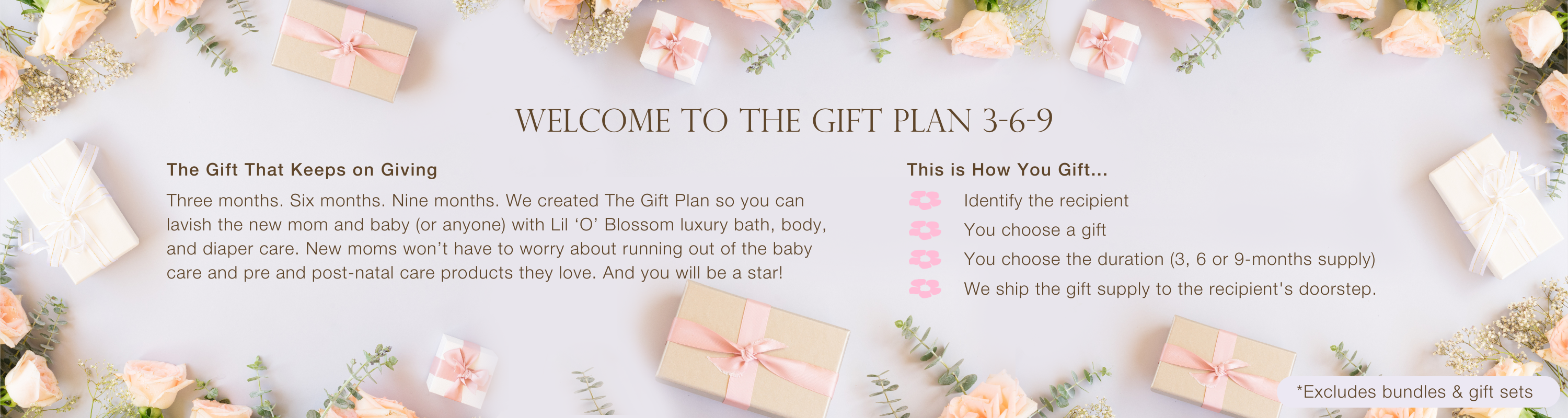 Gift Plan Banner